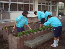 深谷市立花園中学校
